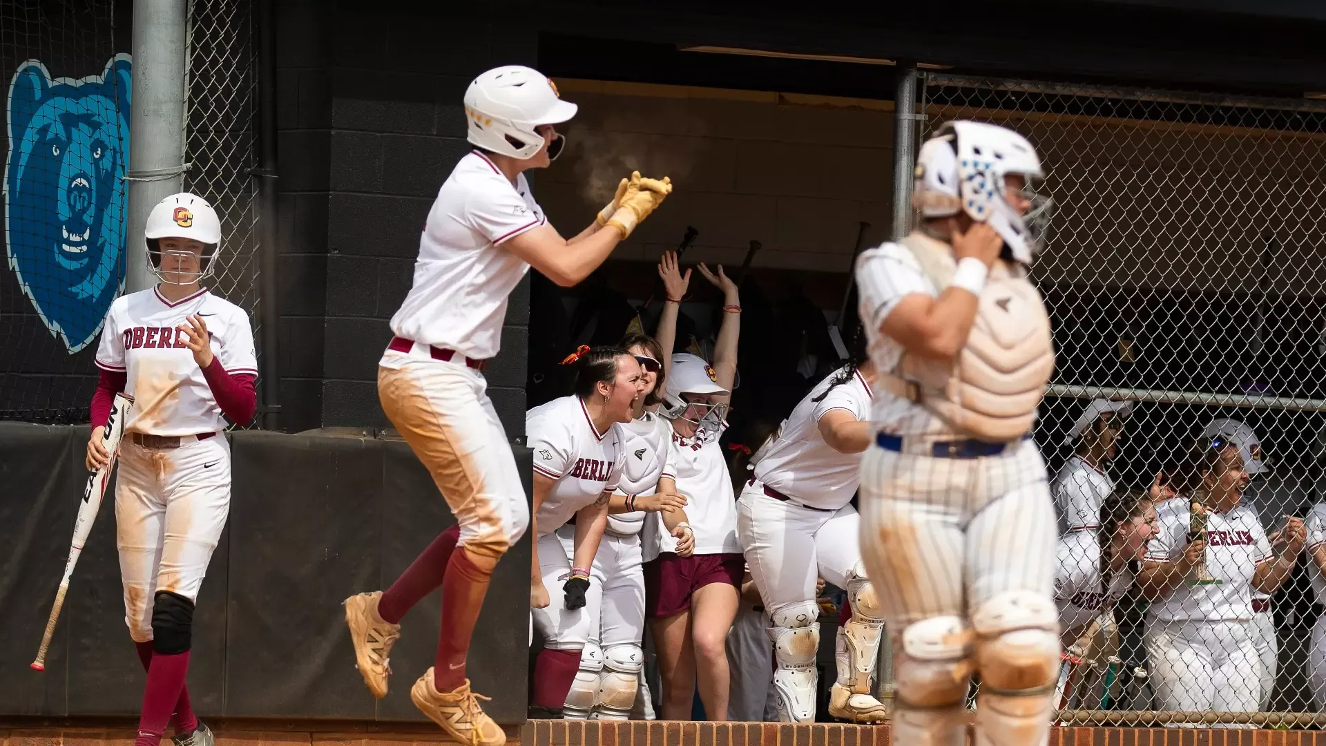 Oberlin Softball players celebrating a good play