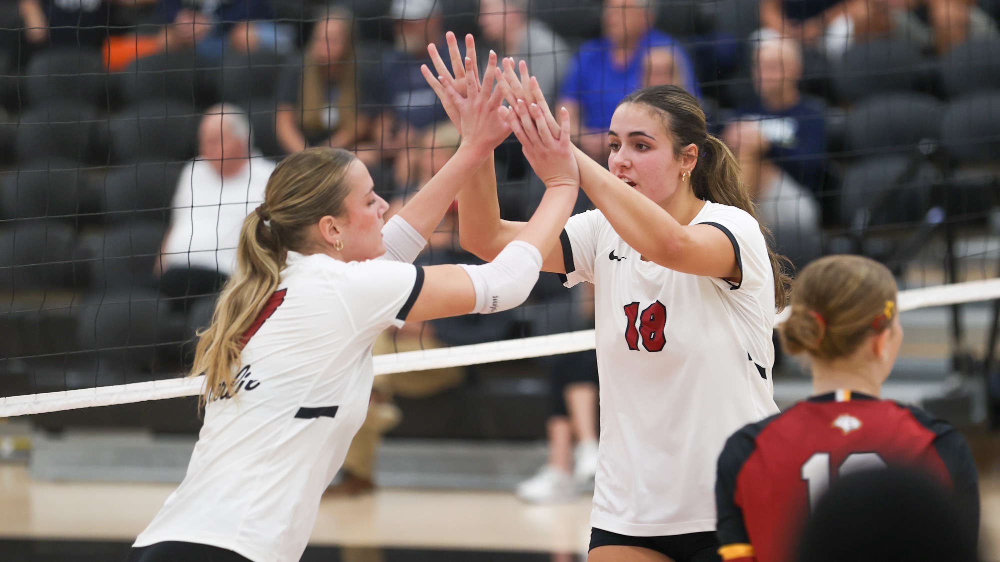 The Geiger Sister - Celebration 