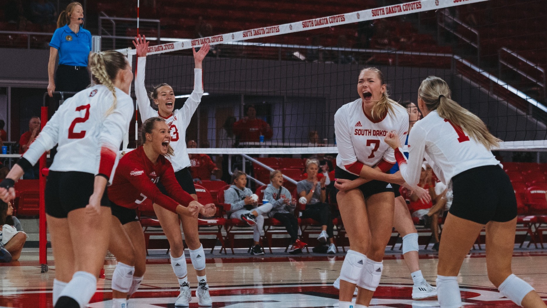 Madison Harms Women's Volleyball University of South Dakota Athletics