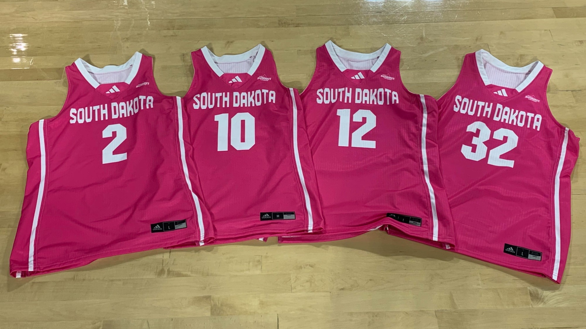 Pink jersey auction live, raising funds for Dakota Hospital Foundation