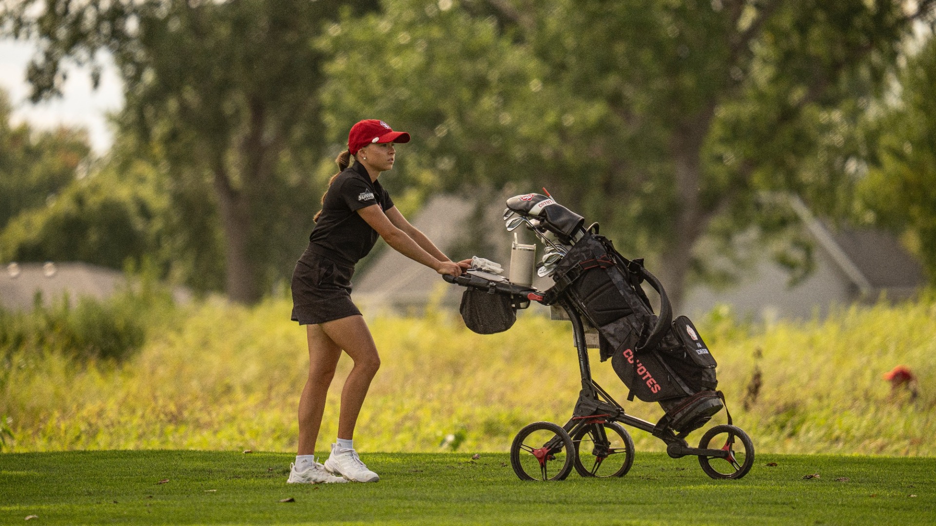 ava rolls bag down fairway
