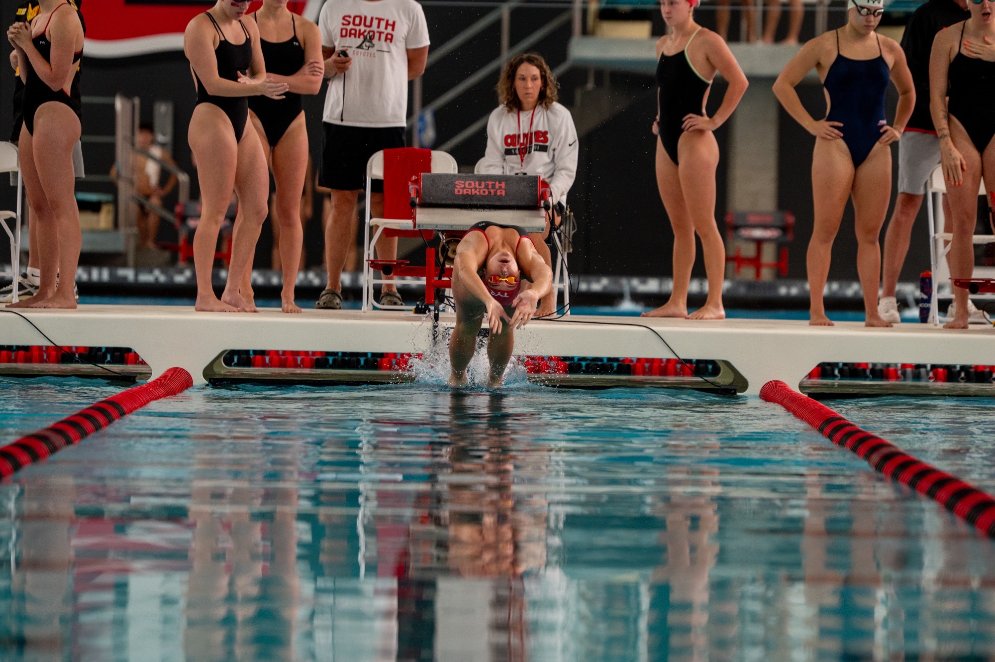 Swim Minnesota State