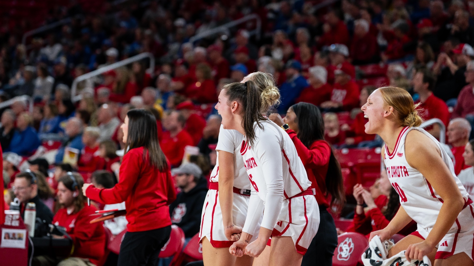 South Dakota bench celebrates against South Dakota State