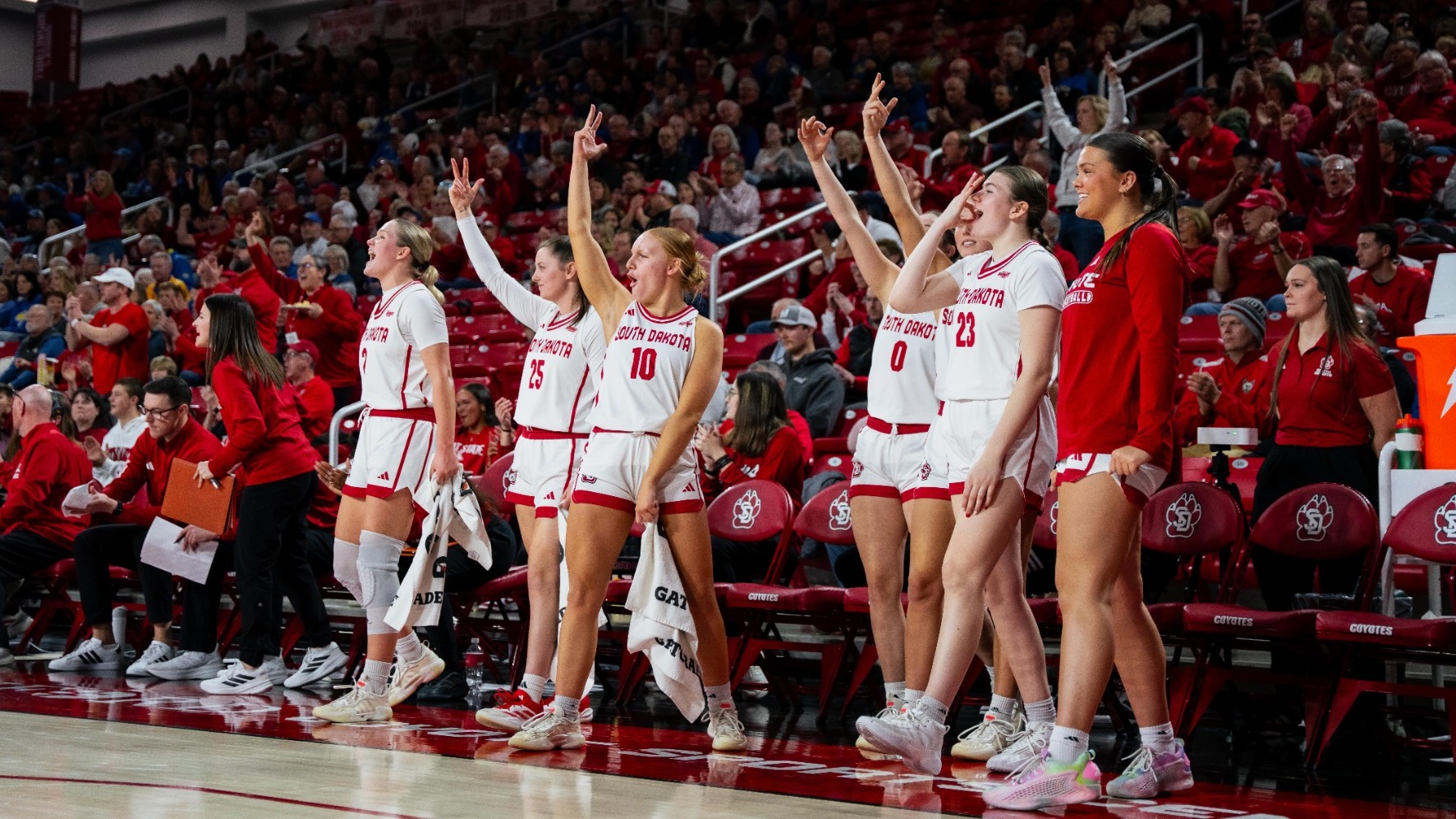 South Dakota bench celebrates a made basket from a teammate against SDSU in the SCSC