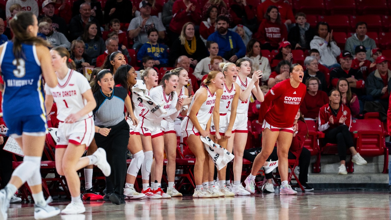 Coyote bench celebrates at SCSC