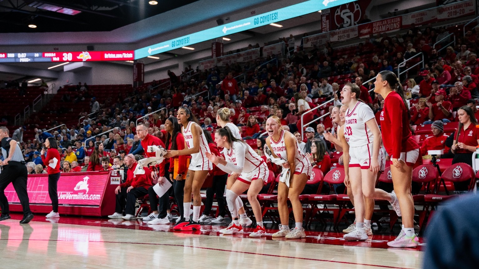 Coyote bench celebrates during a game in the SCSC