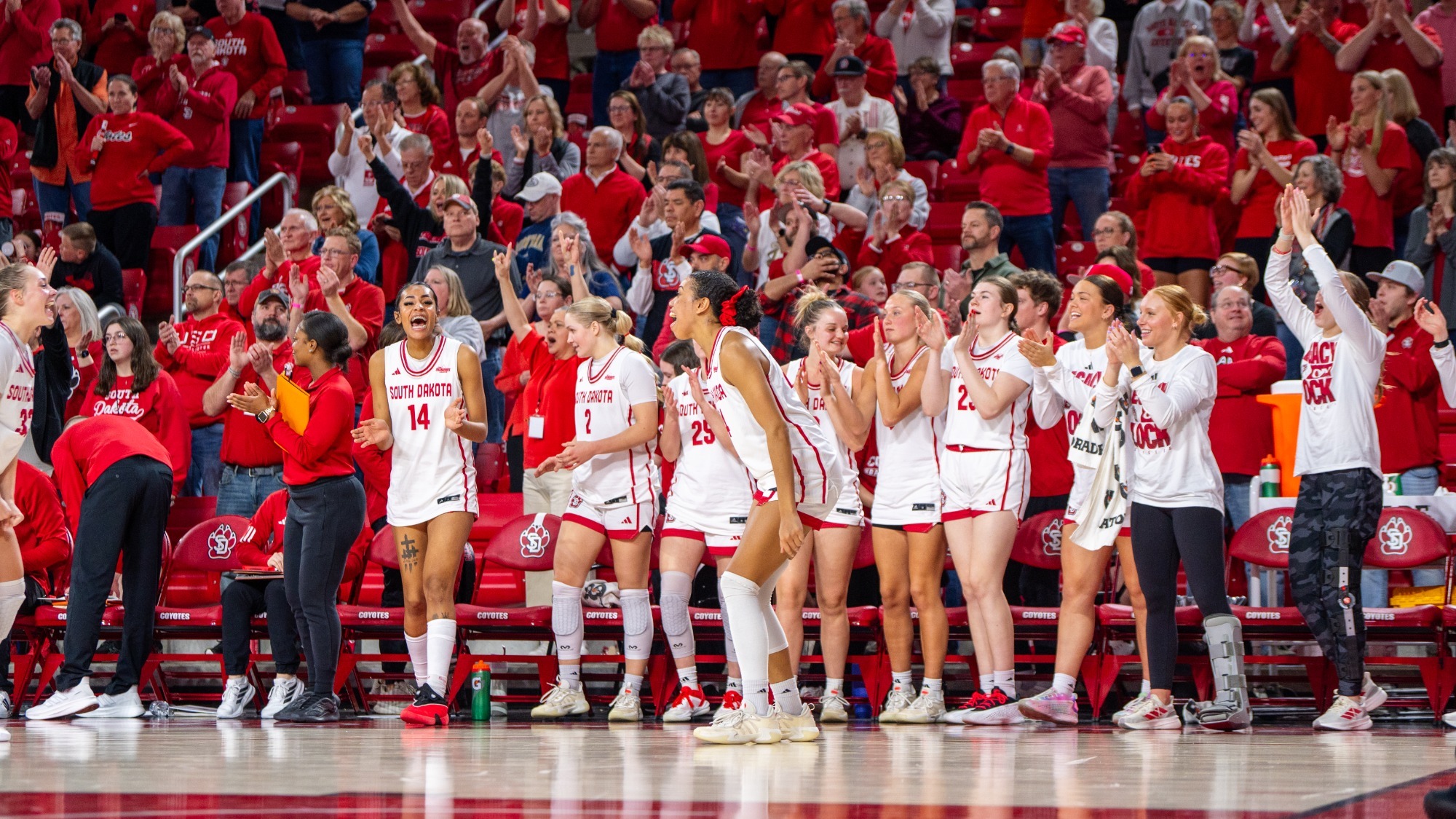 South Dakota's bench celebrates during the final moments of a win over Montana State in the Sanford Coyote Sports Center