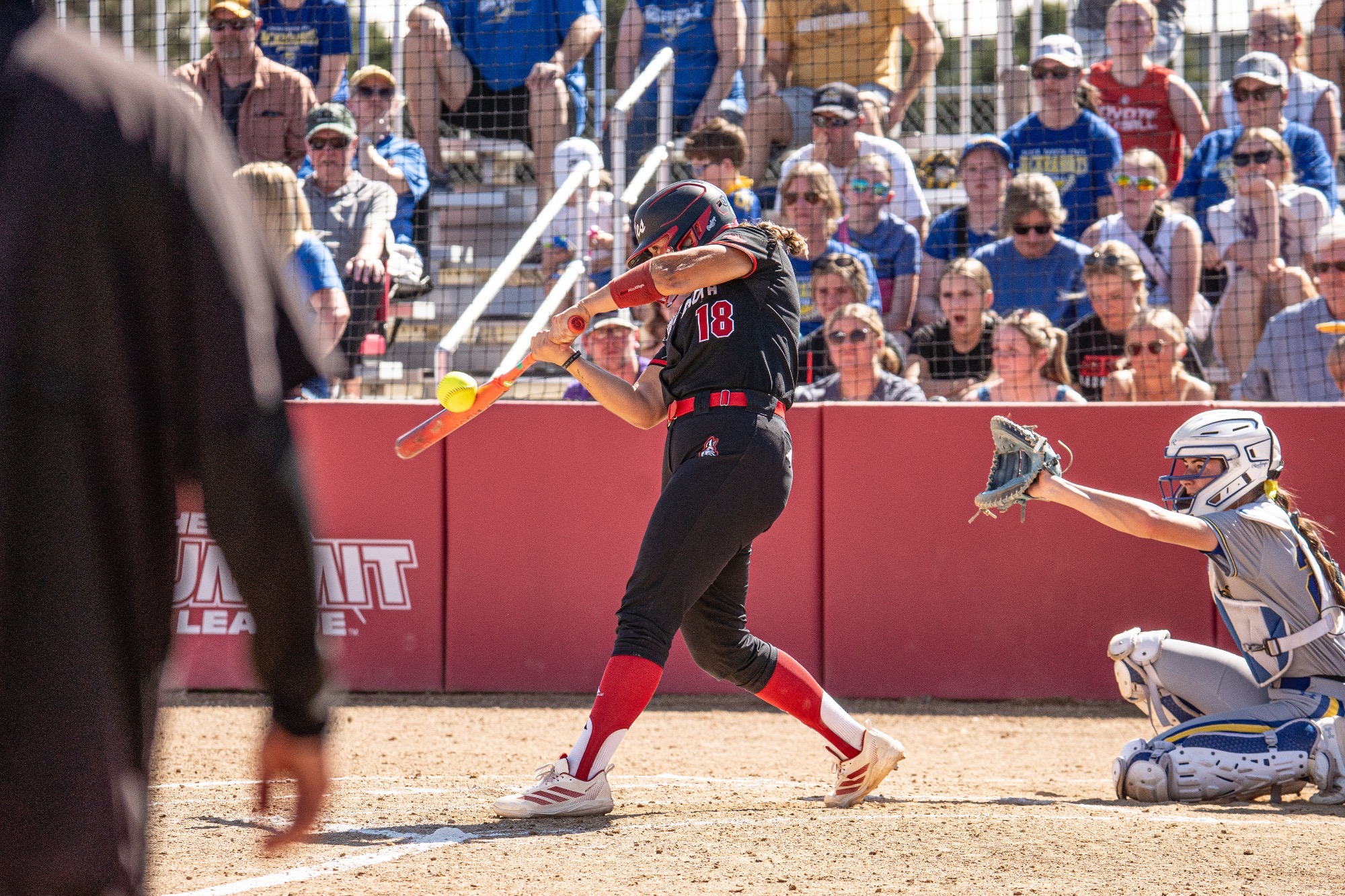 Delaney white hitting