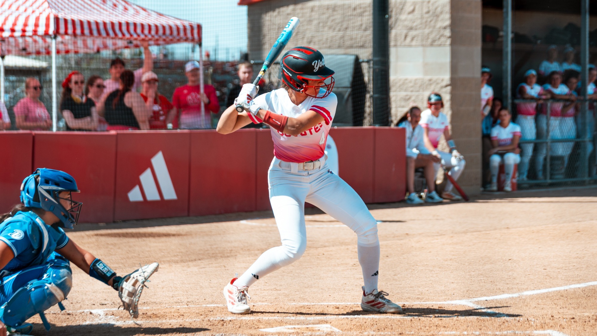 softball-drake-recap-042126