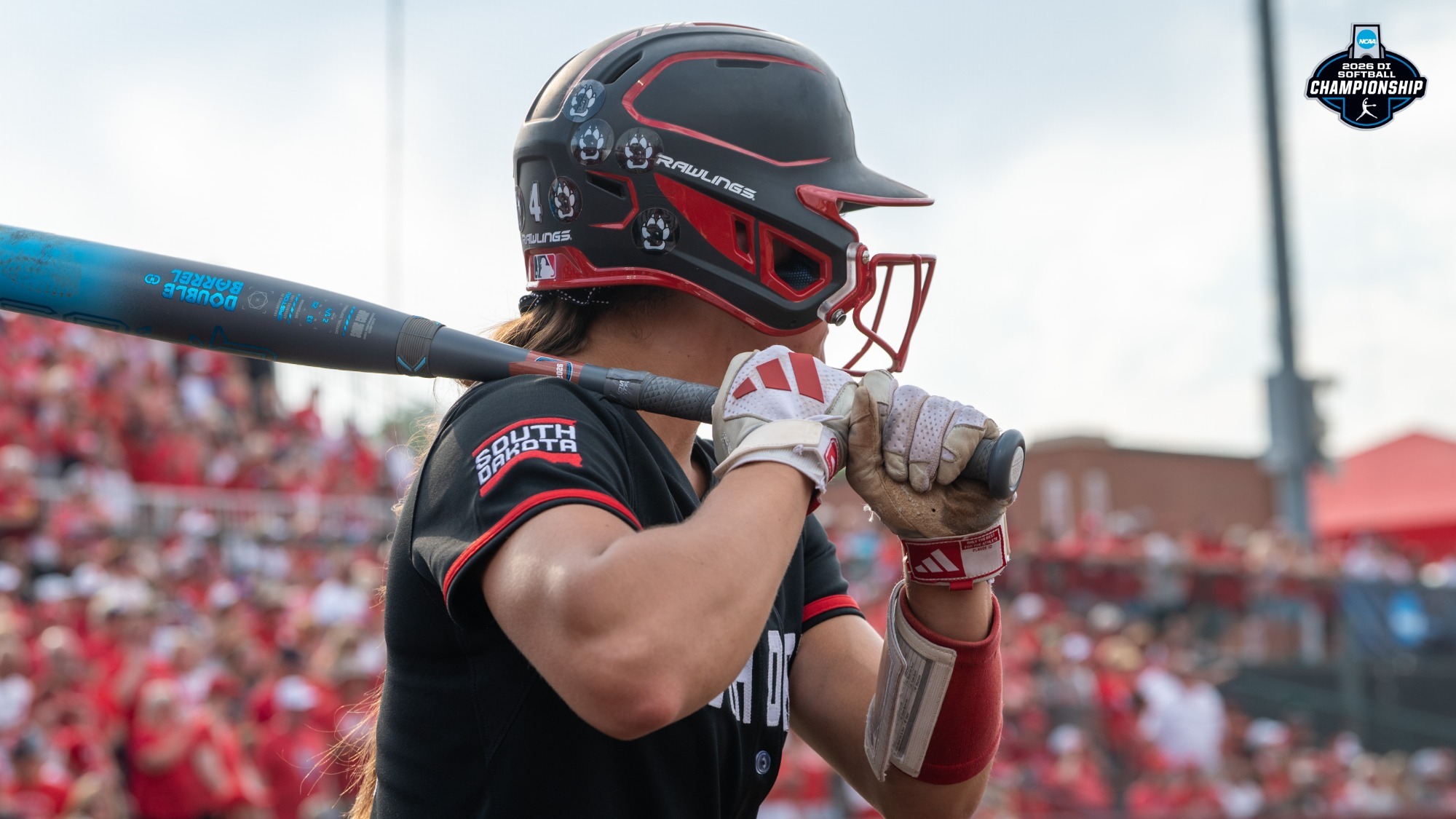 softball-ncaa-regional-nebraska-recap-2026
