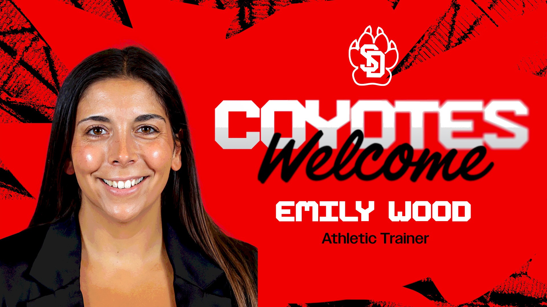 Emily Wood hire graphic