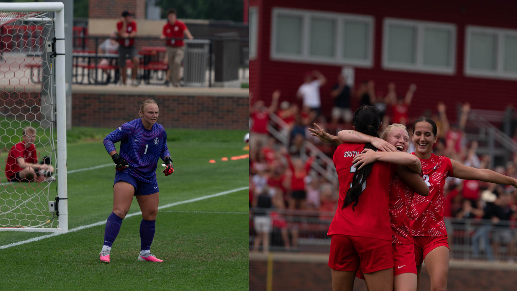 Fischer, Pesicka SL Players of the Week