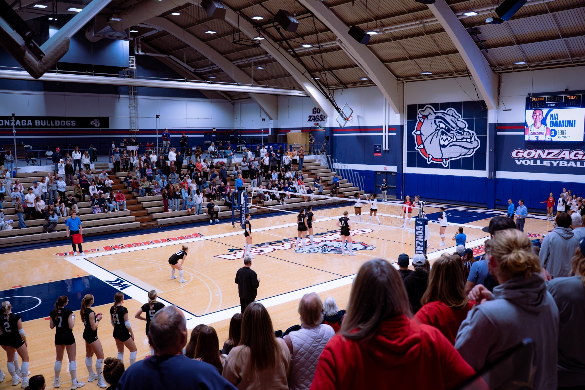 VB Crowd