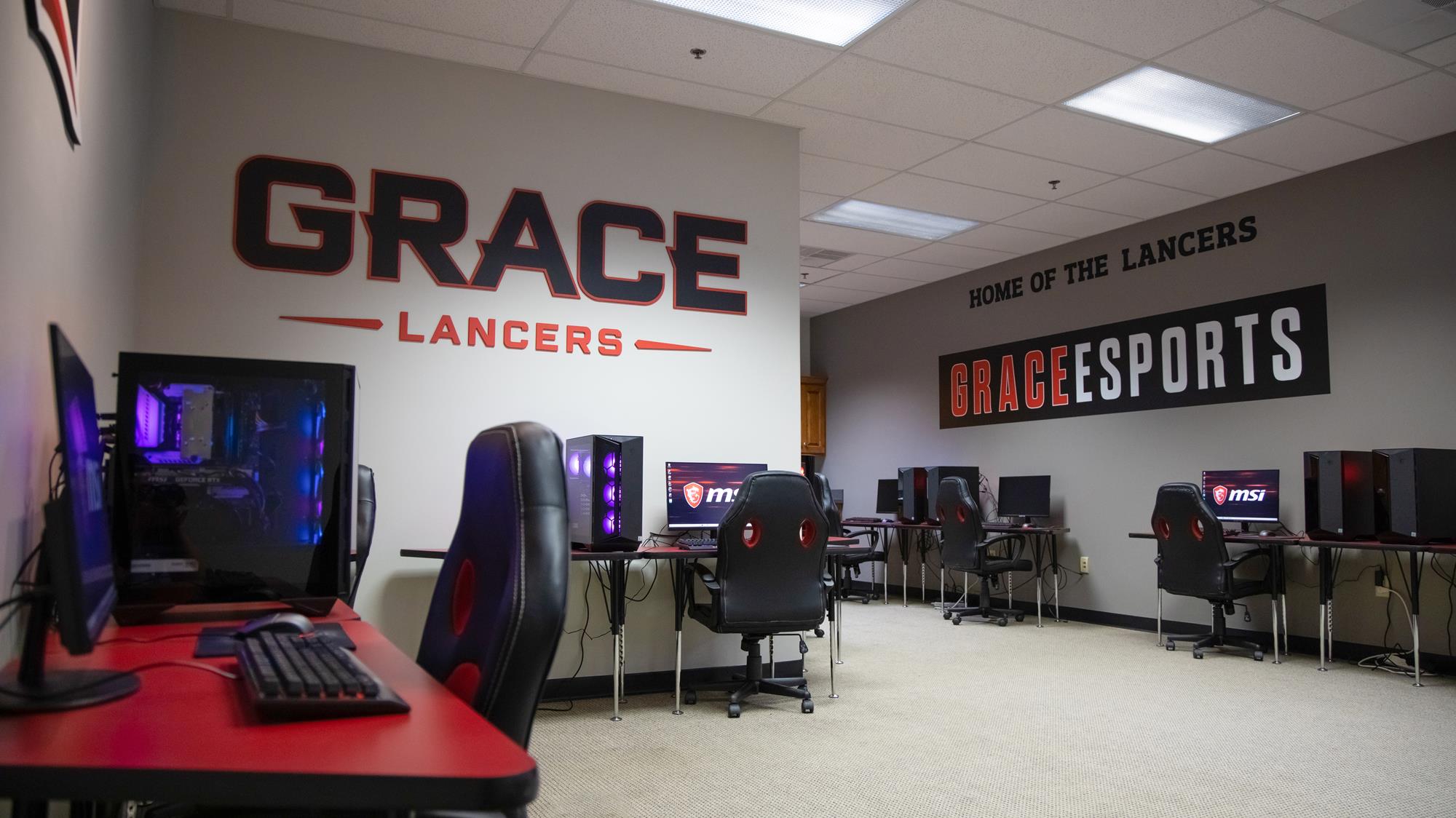 Esports wide 2020