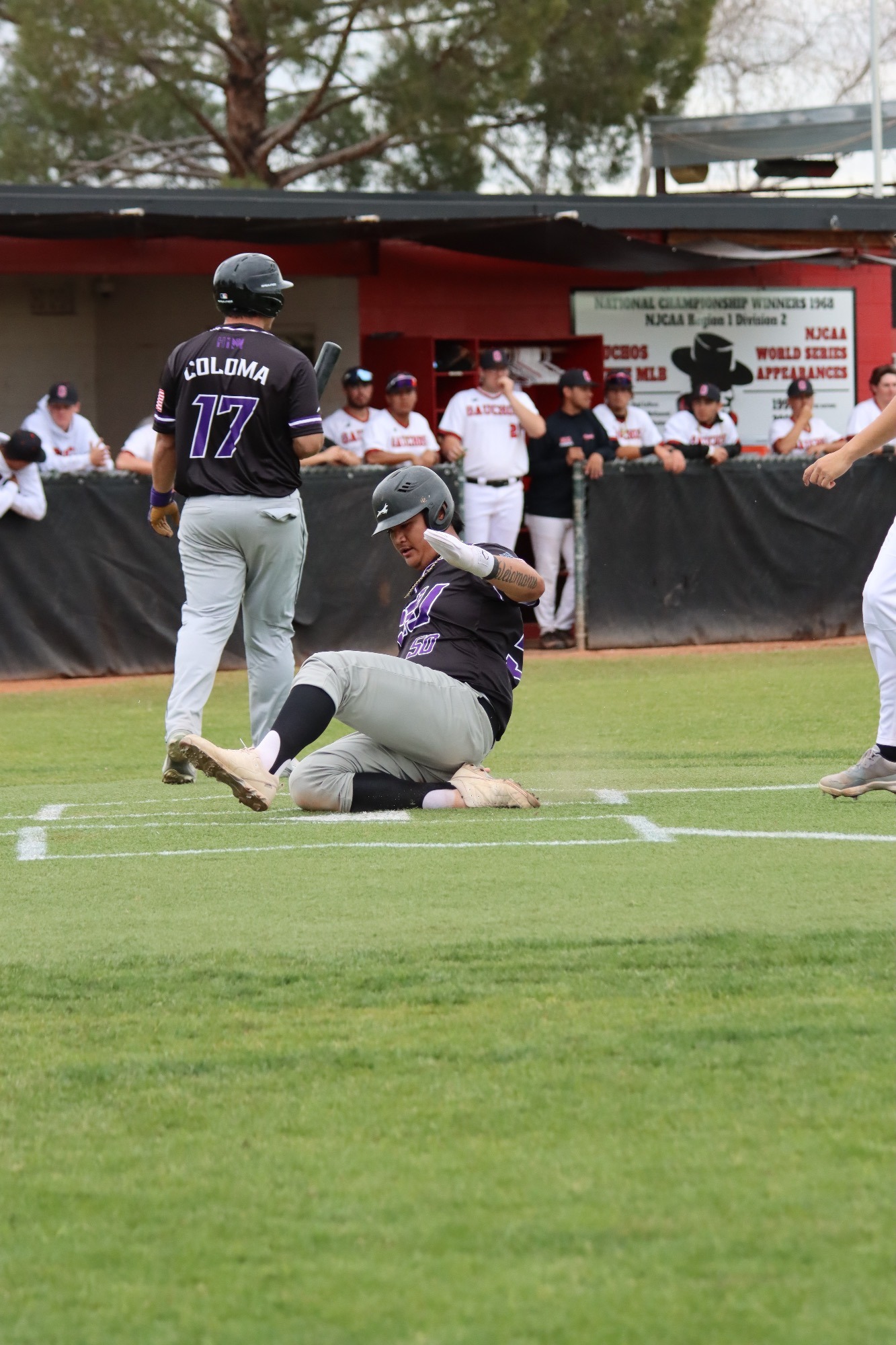 Braeden Coloma 202324 Baseball Grand Canyon University Club Sports