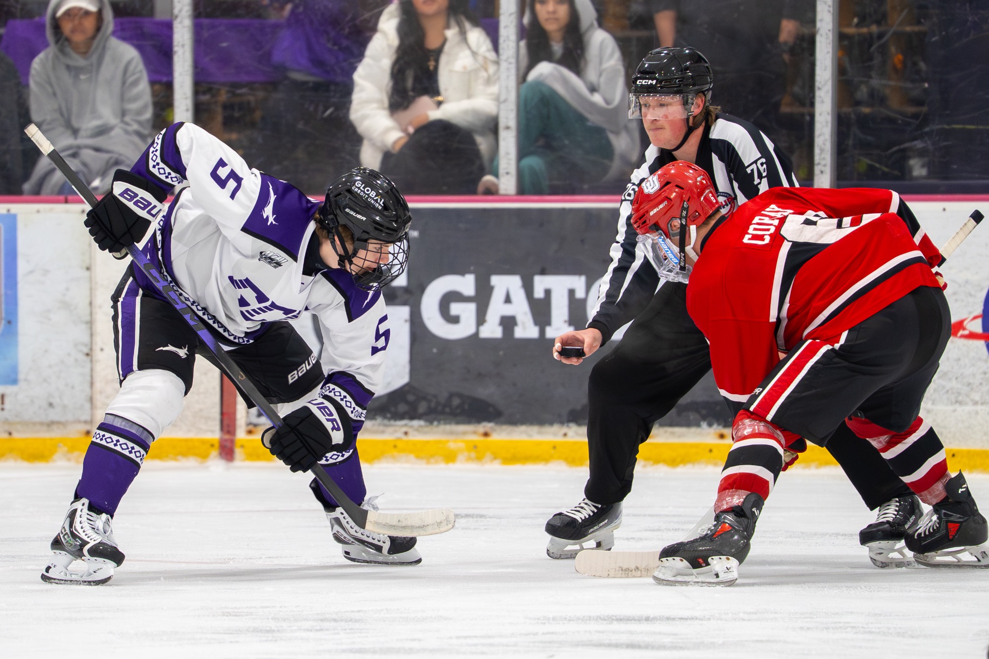 GCU MHKY vs Utah at AZ Ice Arcadia - 1.23.26