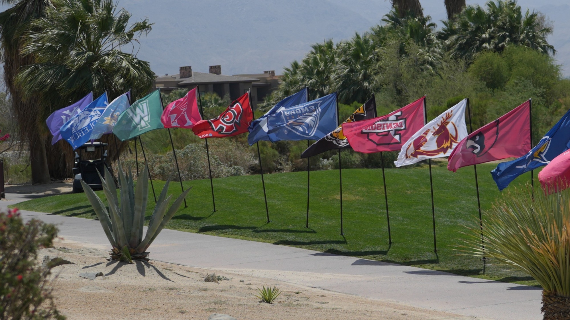 flags