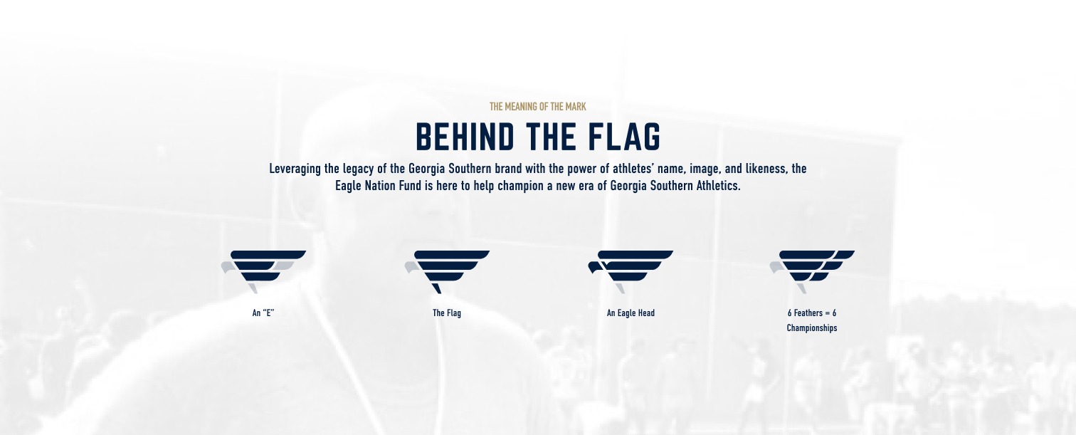 eagle nation fund title