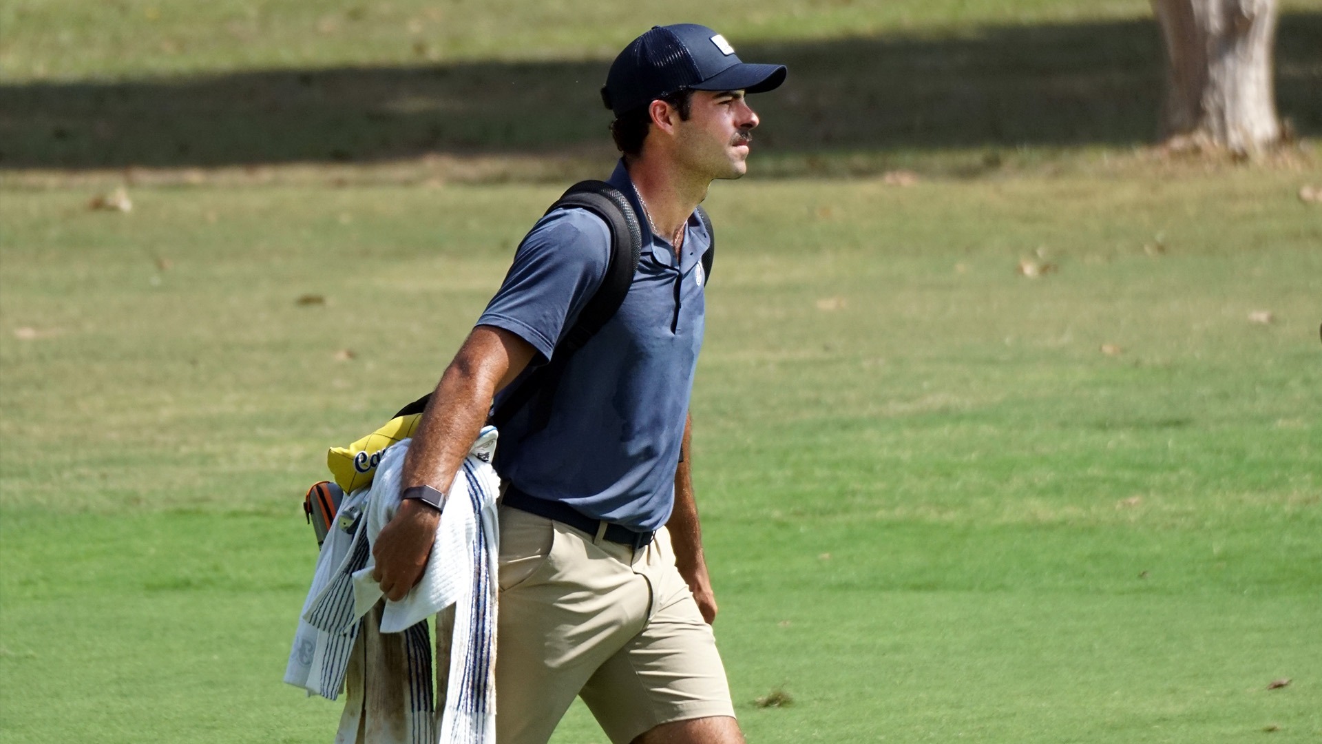 Costa Carrying Clubs Fall 2025