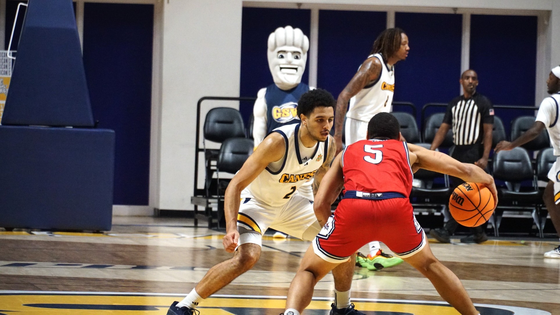 Williams Defense vs Francis Marion 25