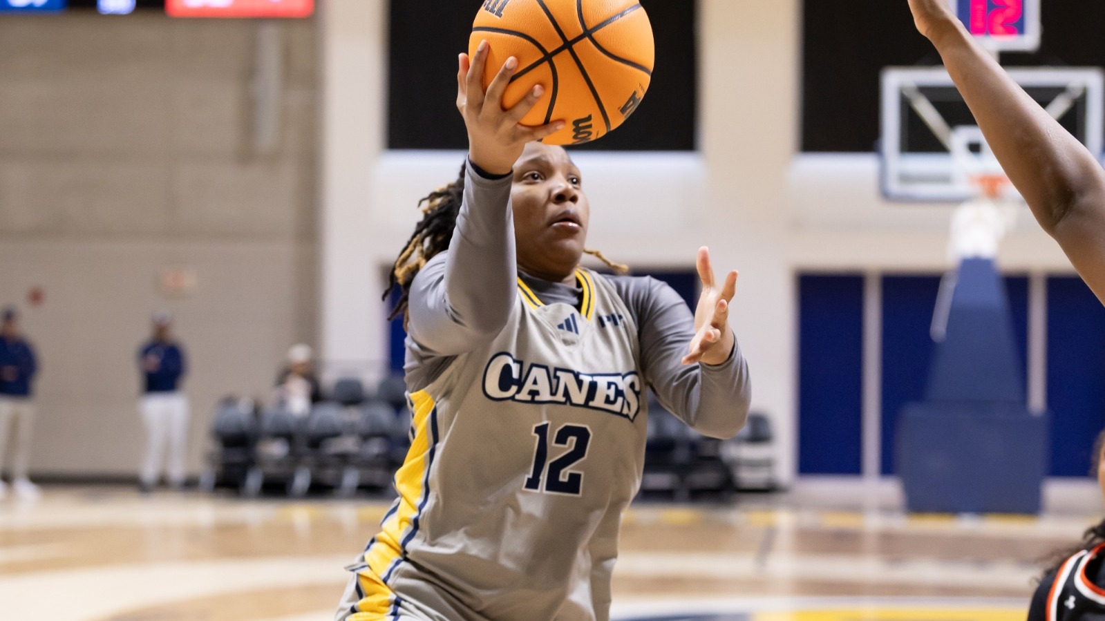 Brittle Layup Web Story Lander