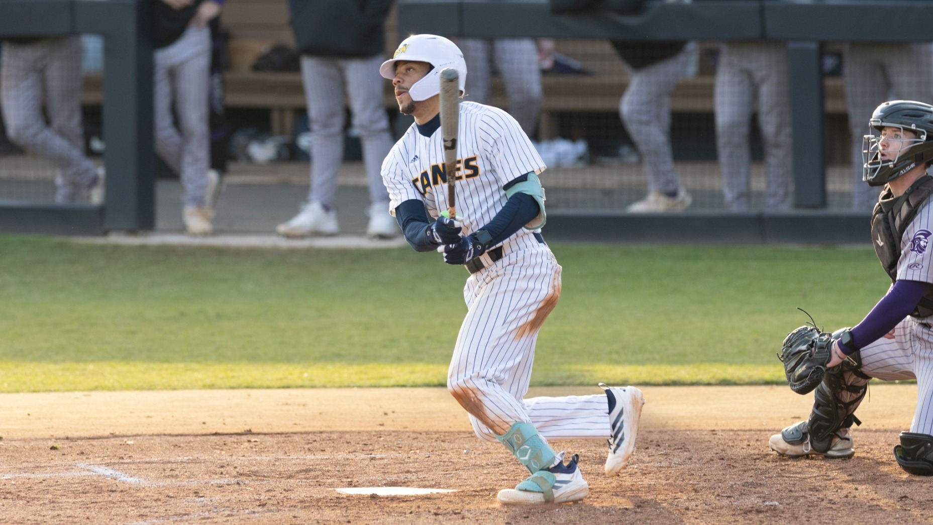 Gipson Watching Hit vs Trevecca
