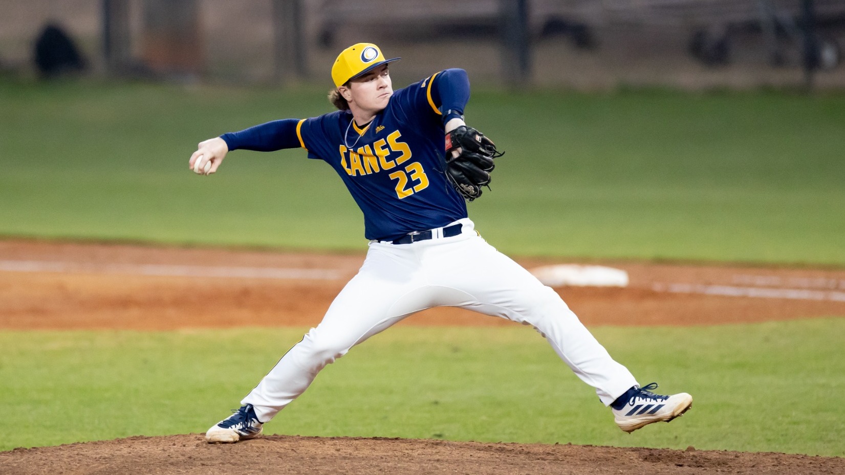 Wade Johnson pitching vs Auburn Montgomery