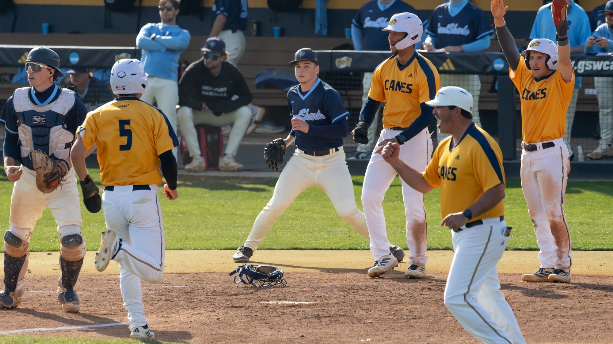 Cheering at home against USC Beaufort