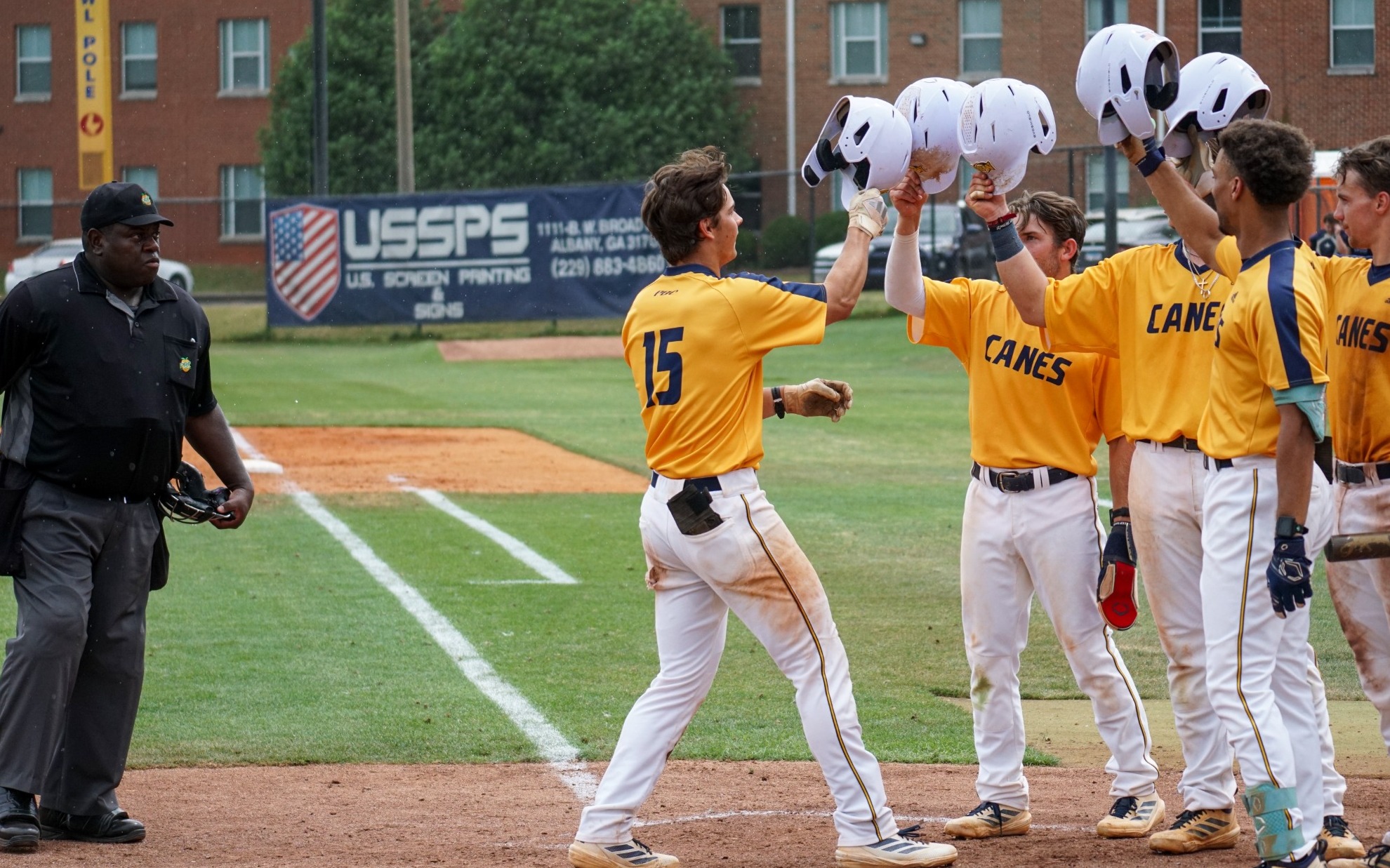 Reaves helmet tap with group at home plate