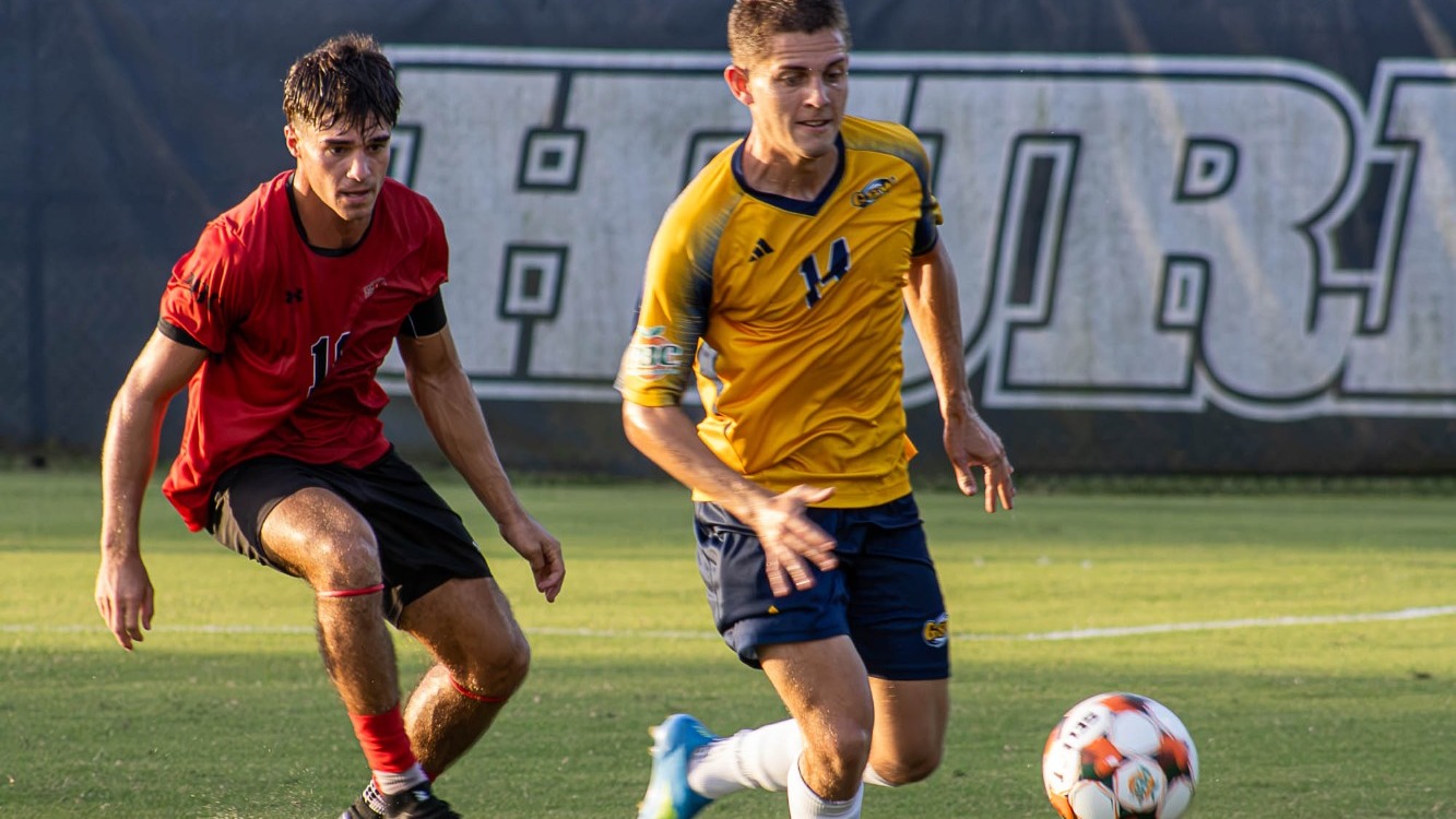 Greenberg tracks down ball vs Flagler