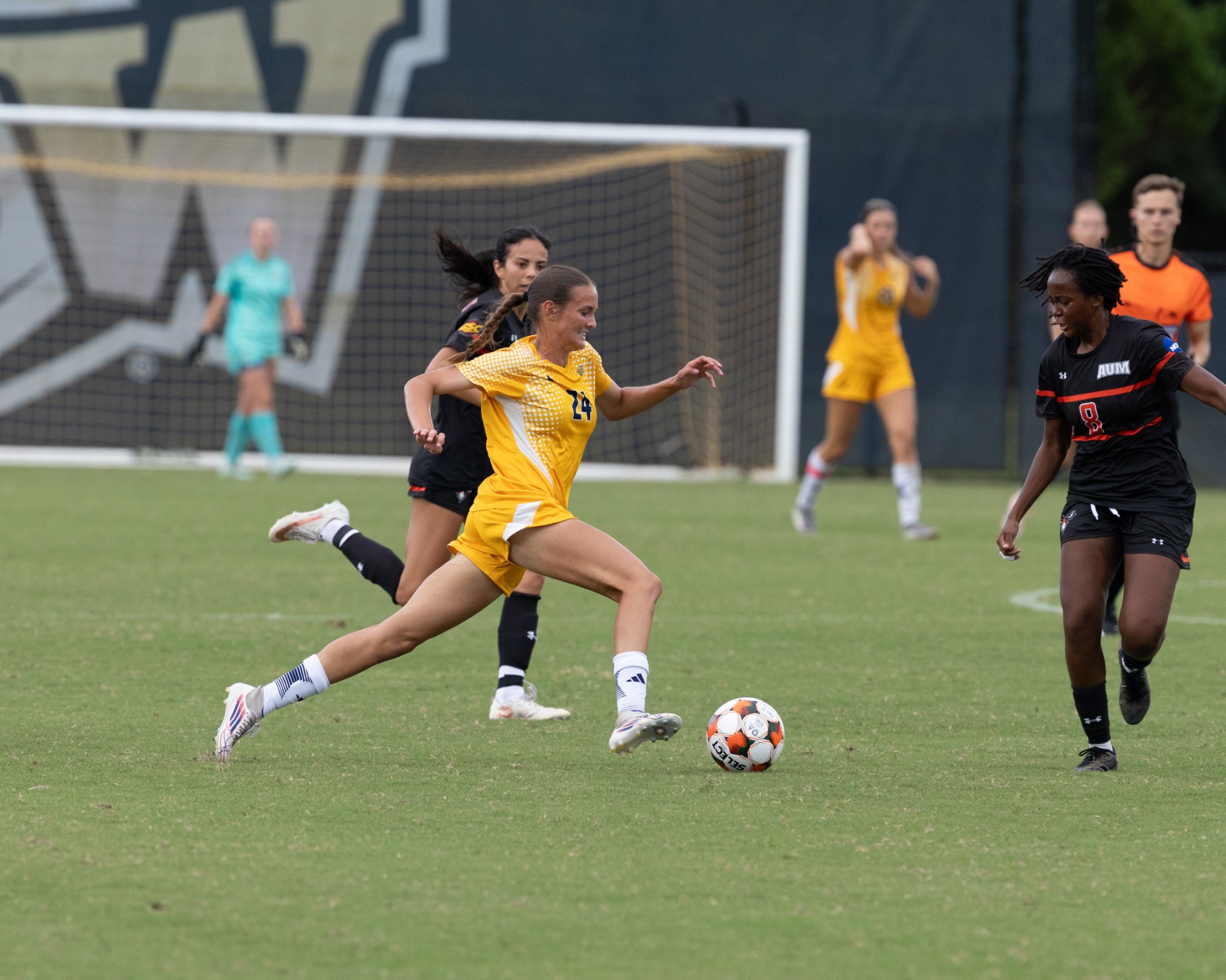 St John drives with ball vs AUM