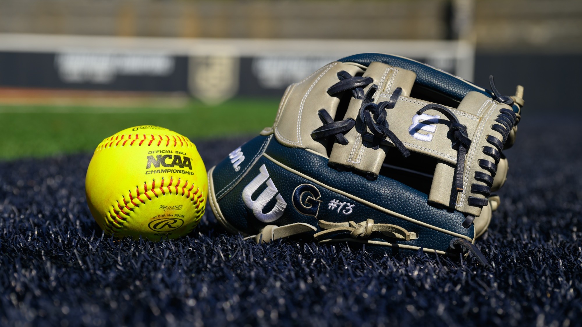 Ball and Glove Softball