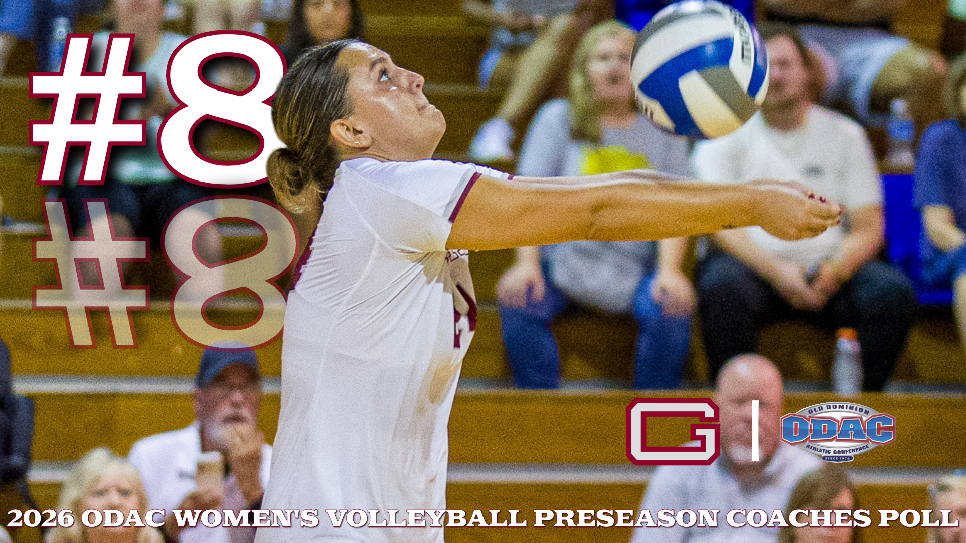 VB Preseason Release 26