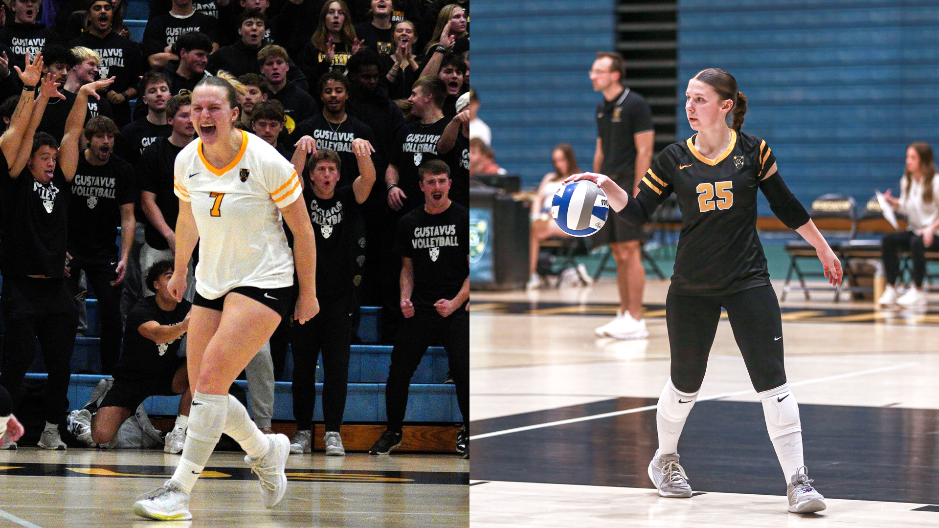 112025_VB_AVCA_All-Region_Awards_Photo