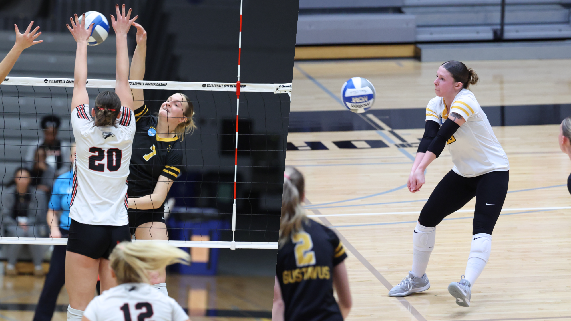 112625_VB_AVCA_All-American_Awards_Photo