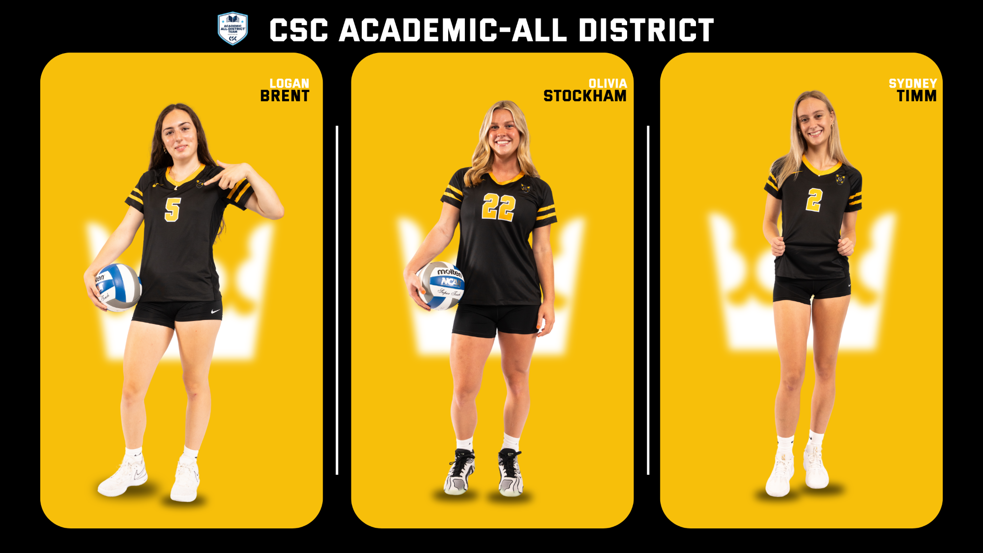 VB CSC Academic All District
