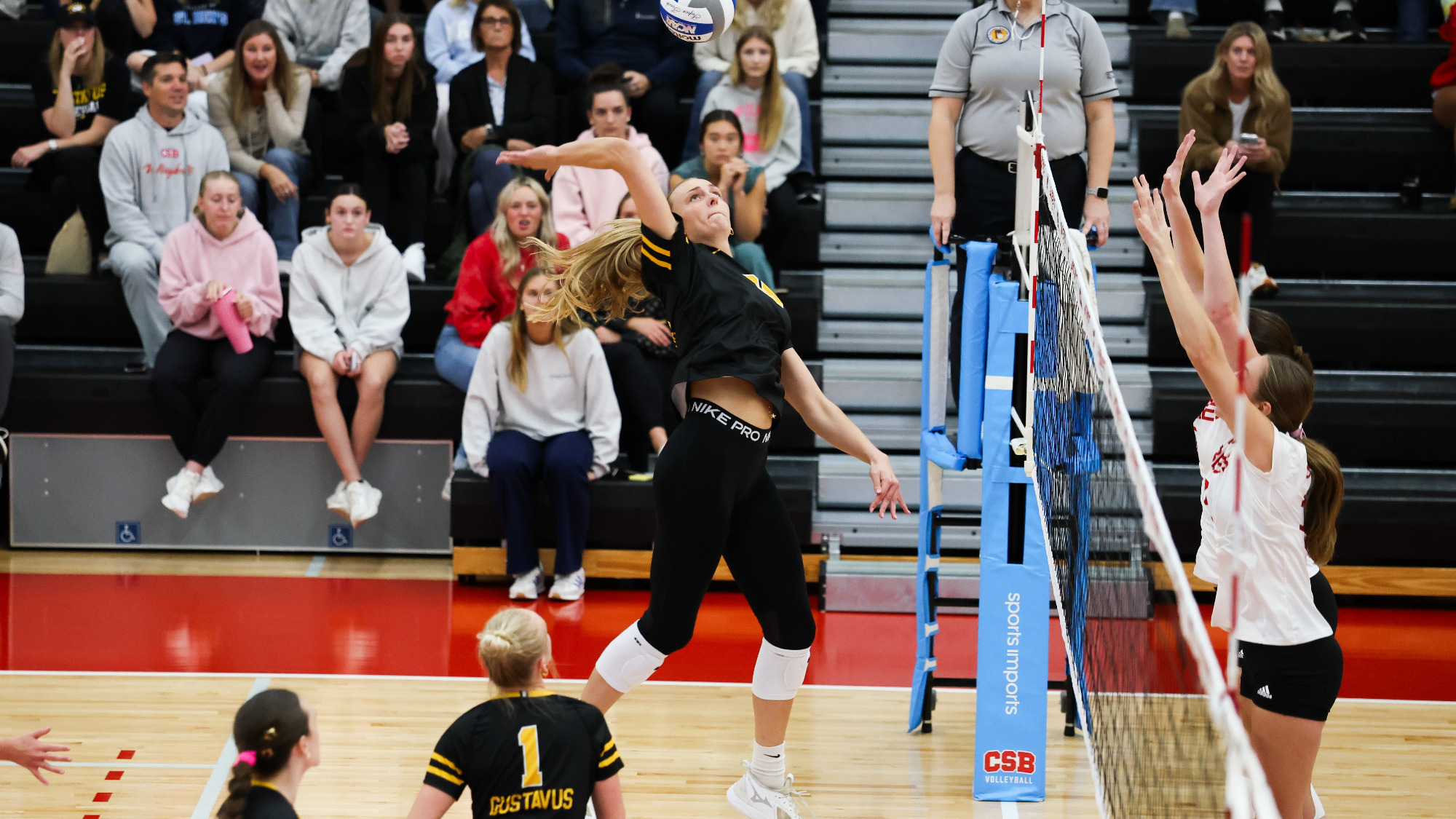 100526_VB-O_AotW_Deyak_Story_Photo