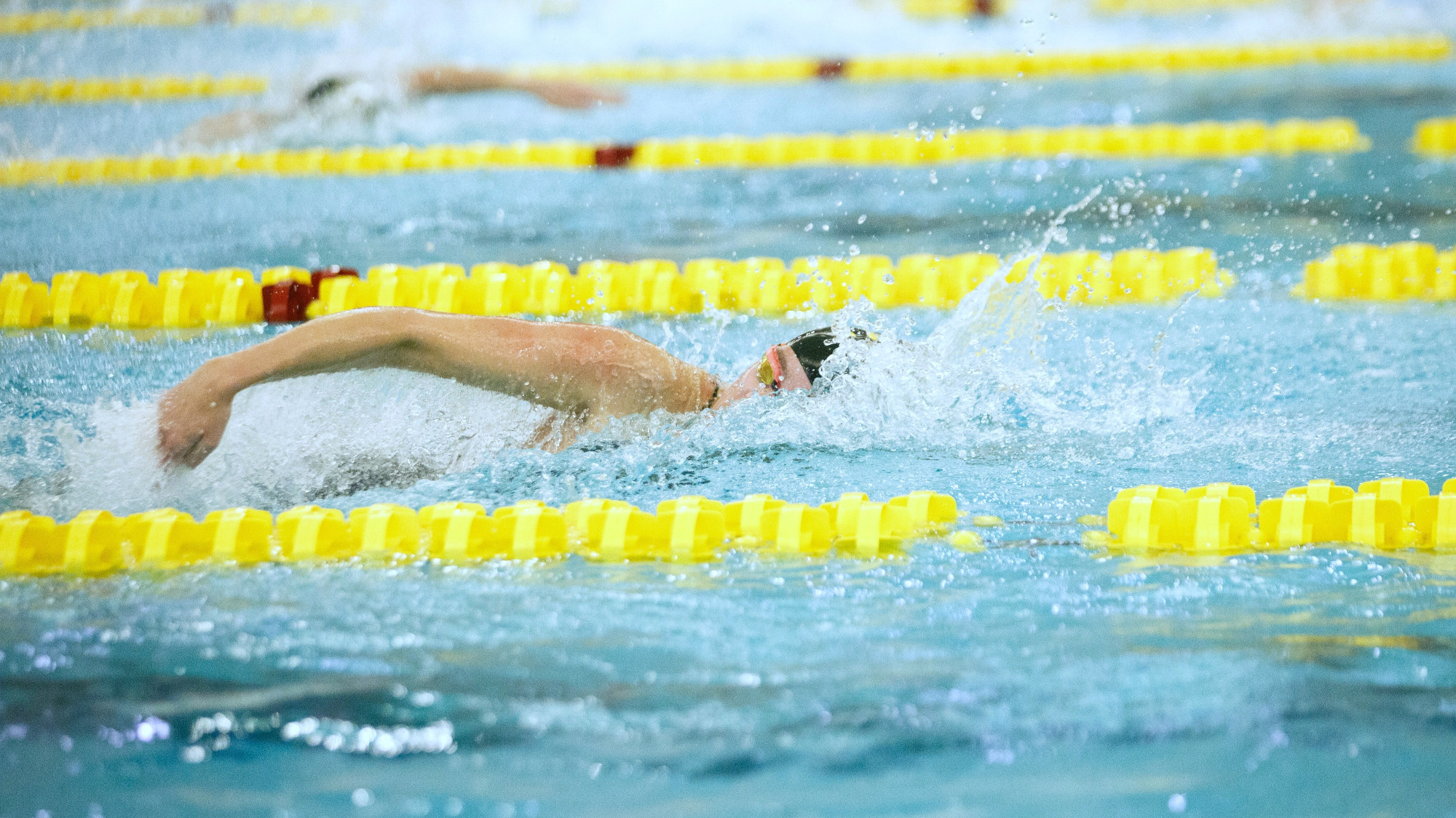 021326_WSD_Story_Photo2