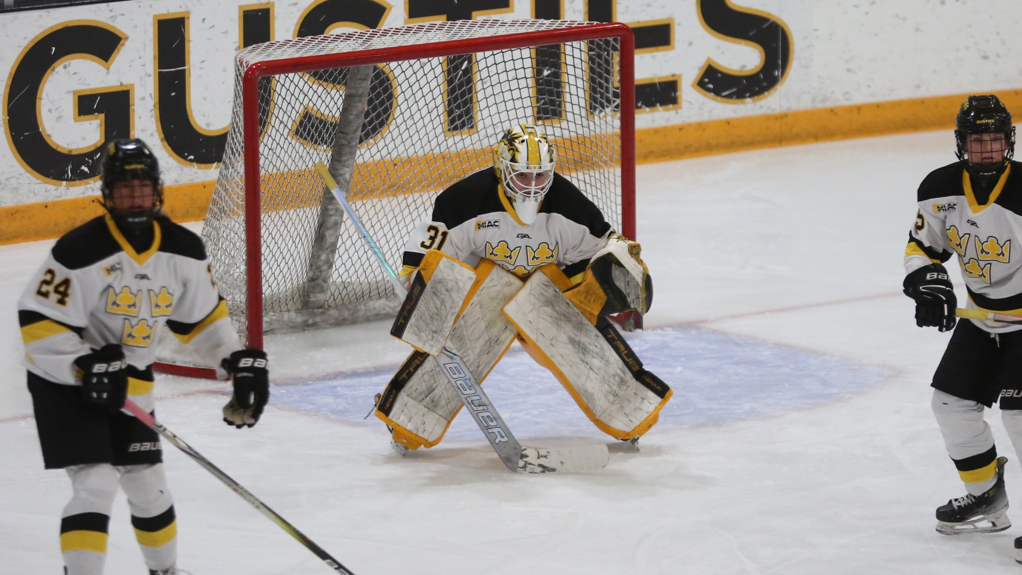 020226_WHD_AotW_Timmons_Story