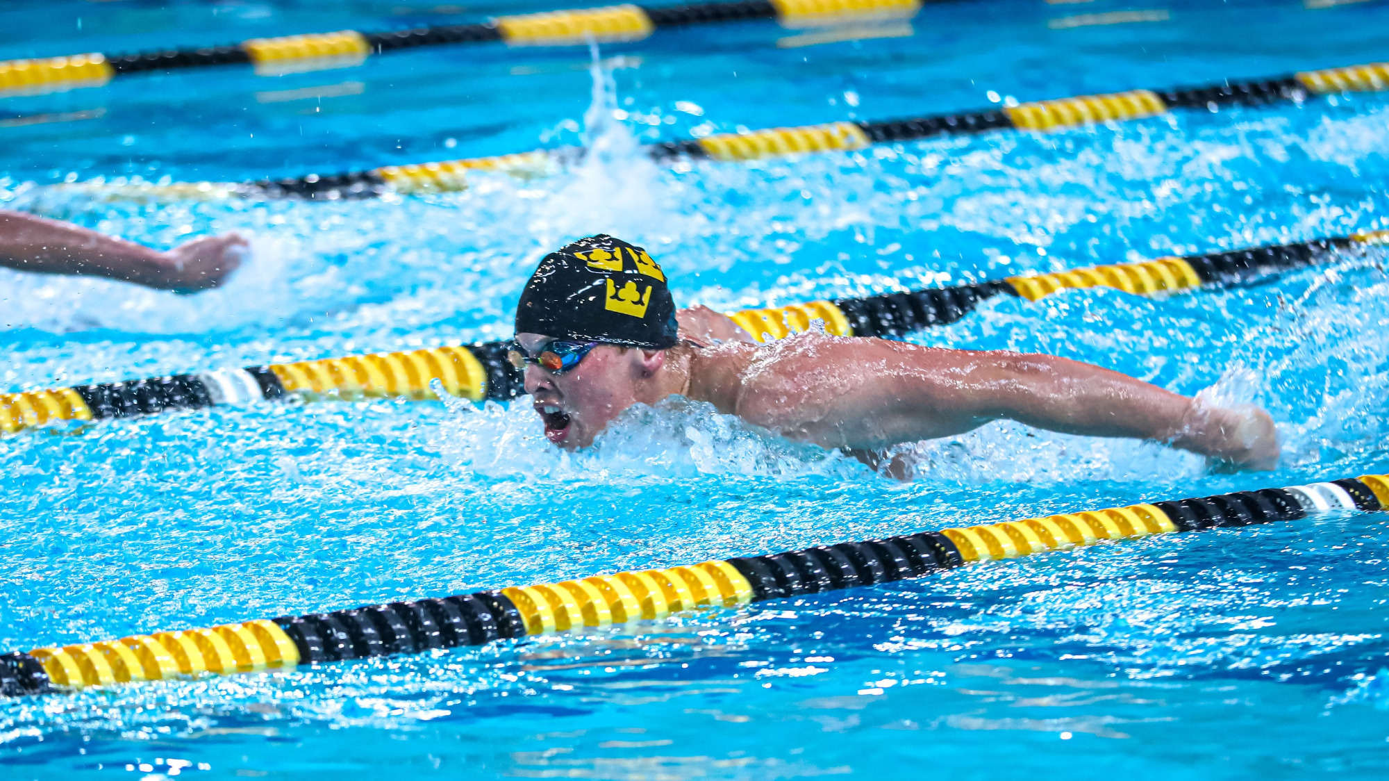 020326_MSw_AotW_Patee_Story_Photo