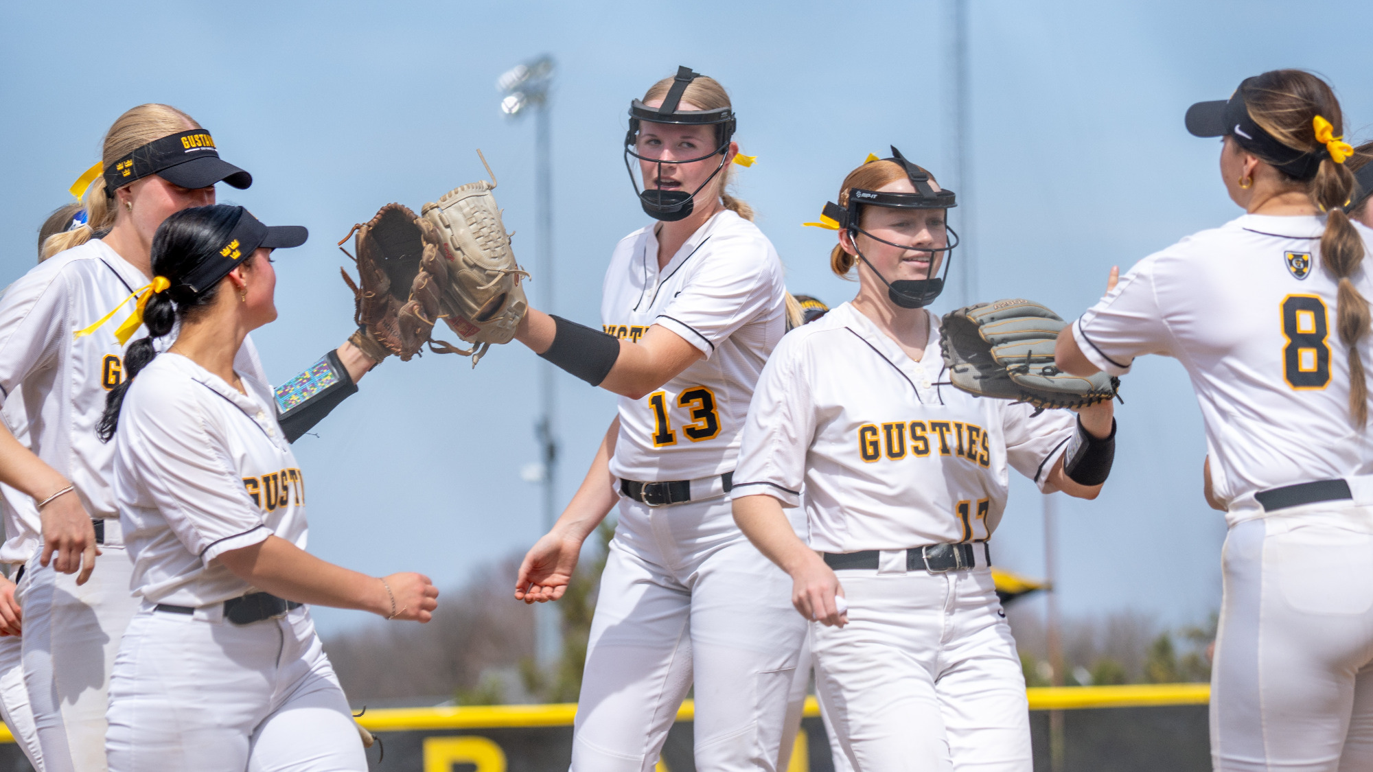 081726_SB_NFCA_All-America_Scholar-Athlete_Awards_Story