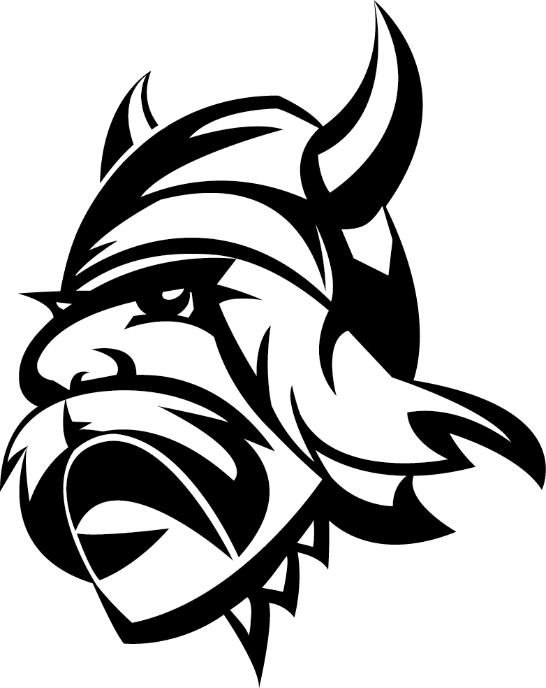 viking head