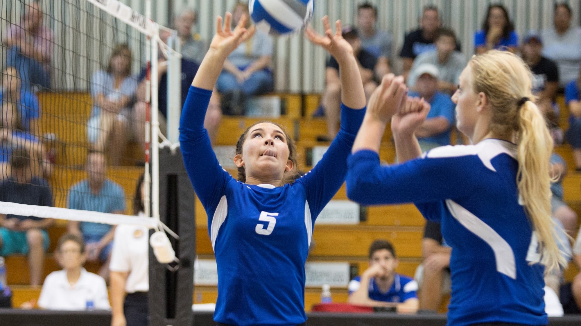 Taylor Stewart 2017 Women's Volleyball Grand Valley State