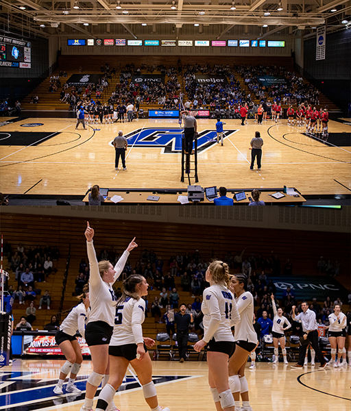 Volleyball