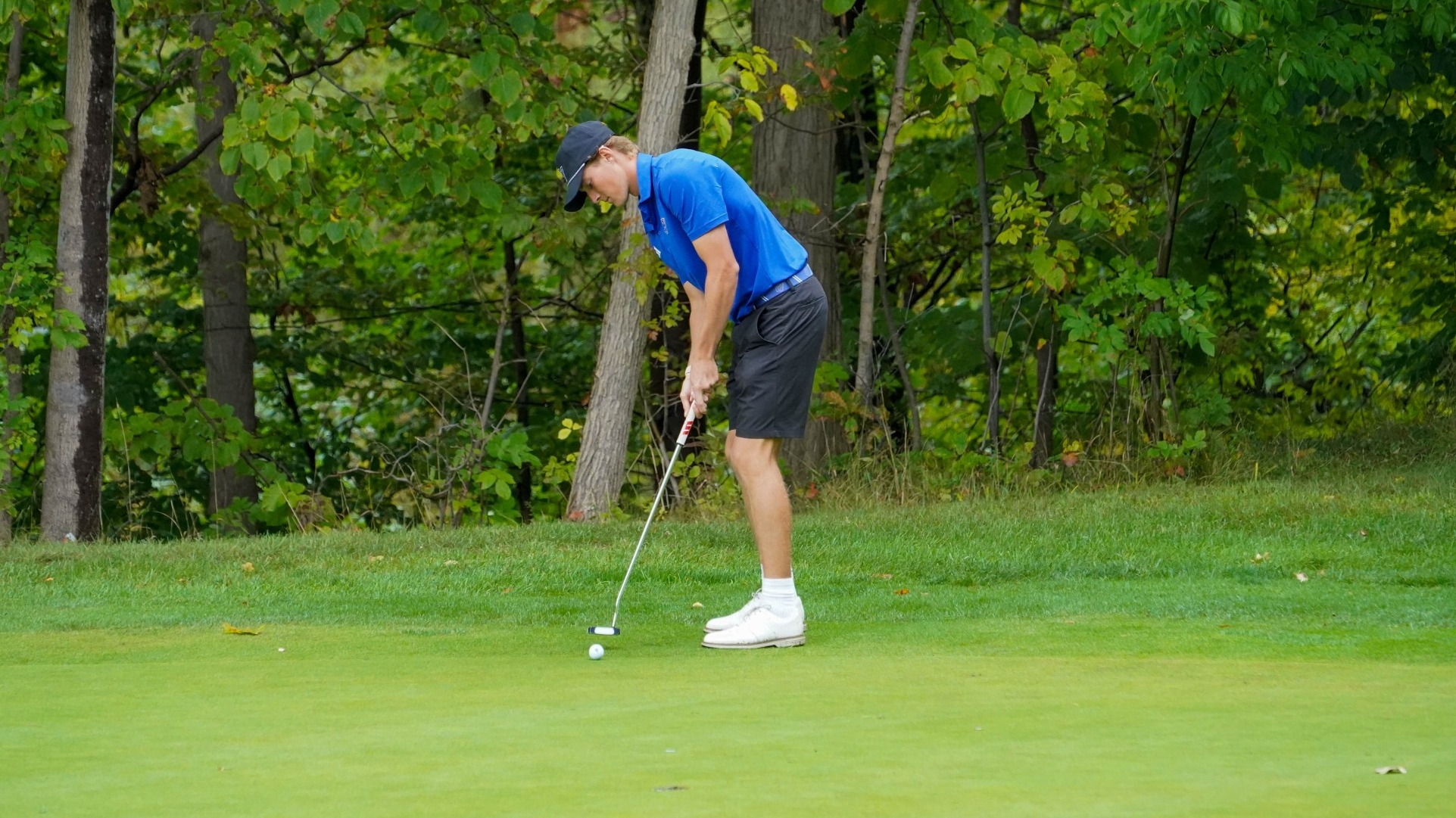 finley dober