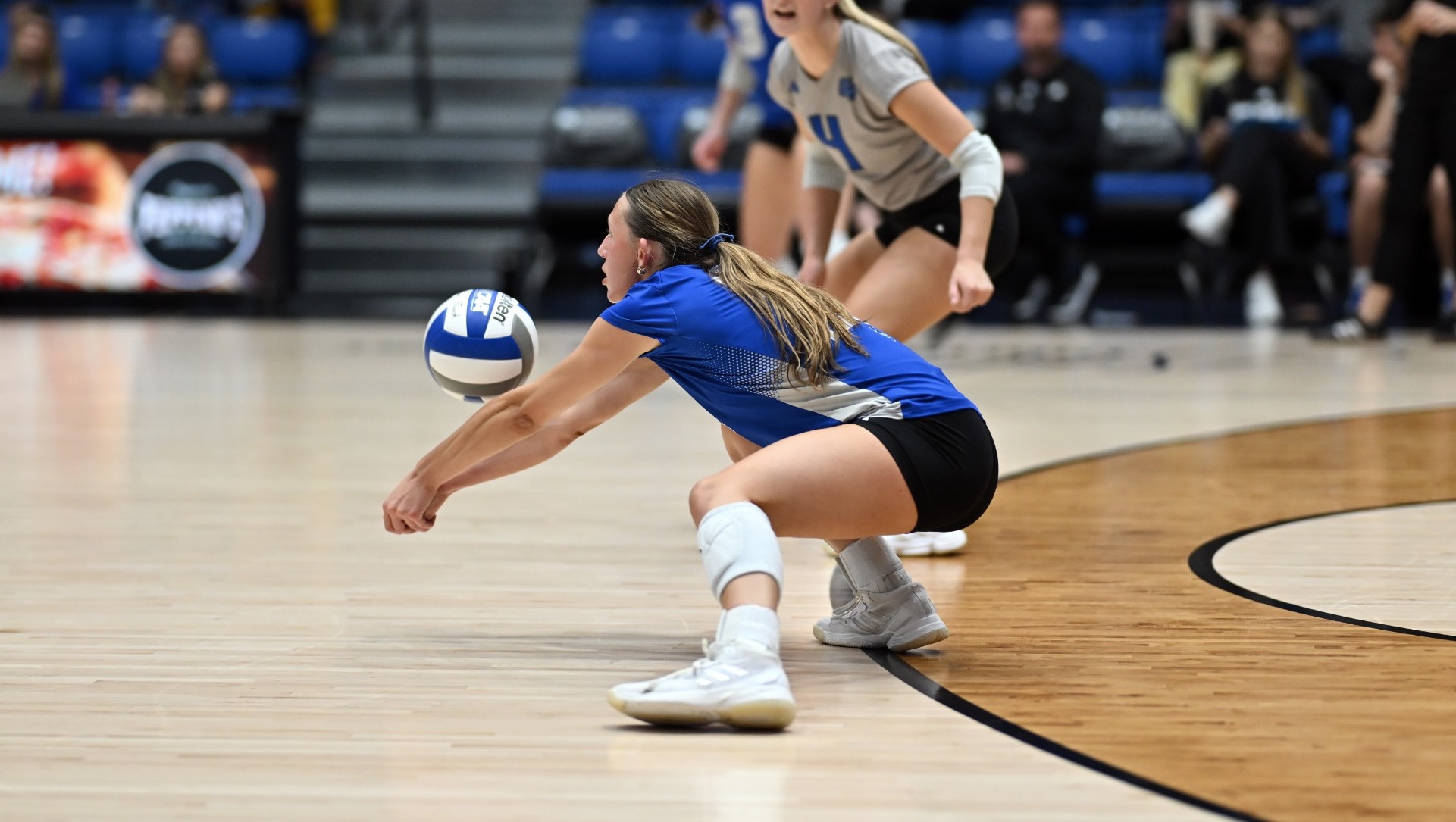 grace busold dig