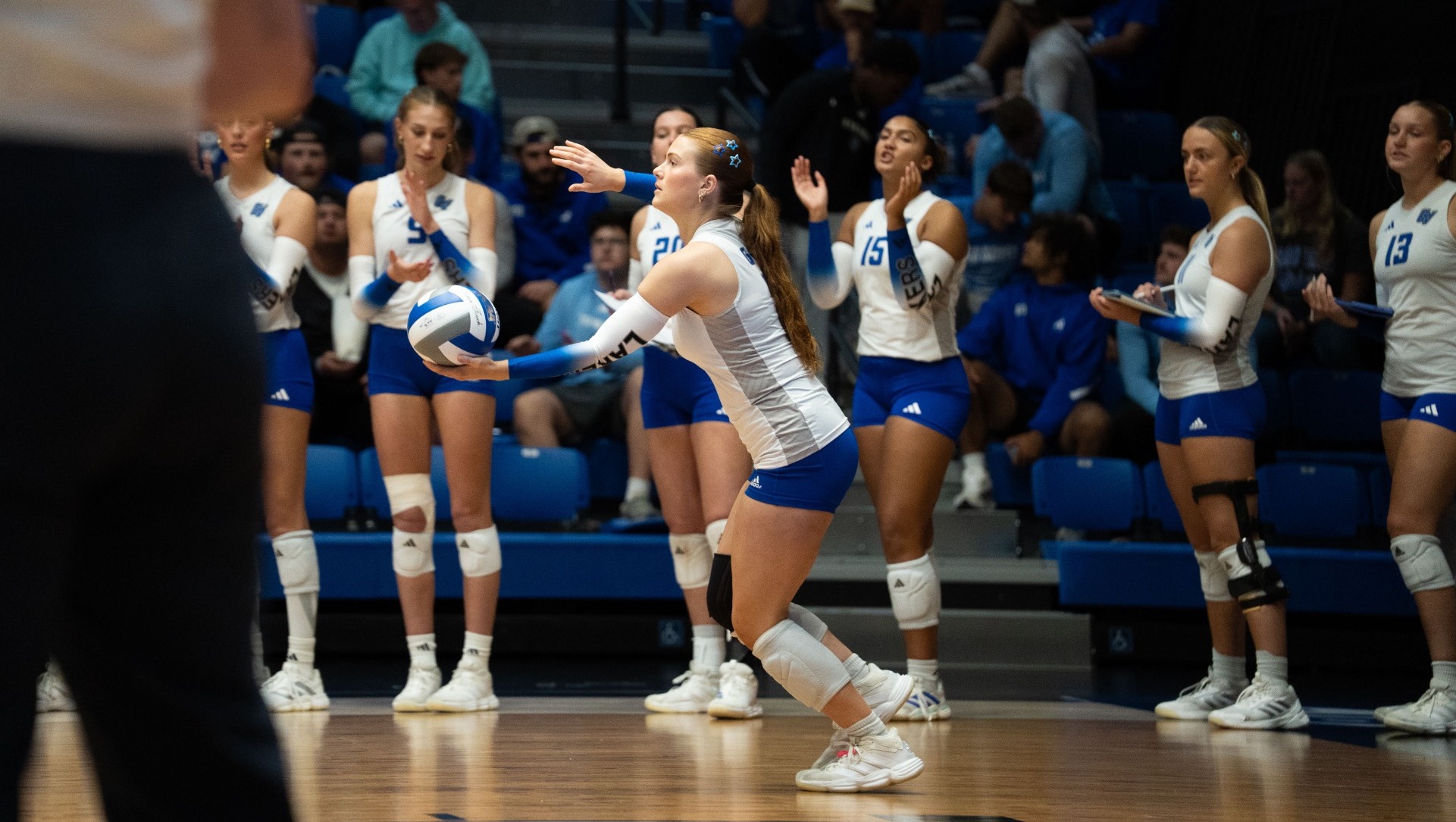 shelby fabbri serve
