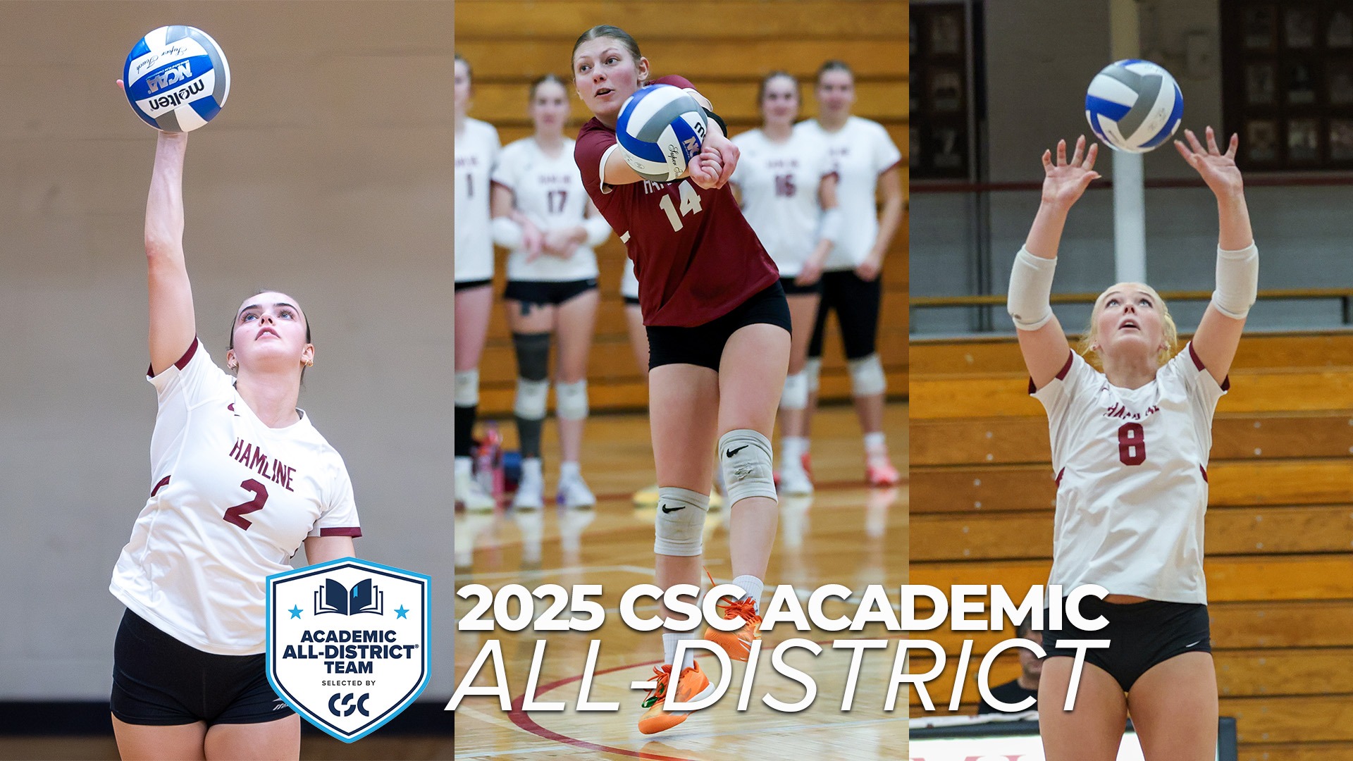 2025 CSC Academic All-District Volleyball 
