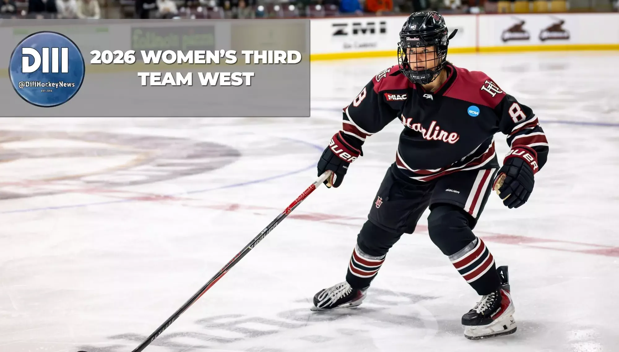 Newpower DIIIHockeyNews Third Team West Award