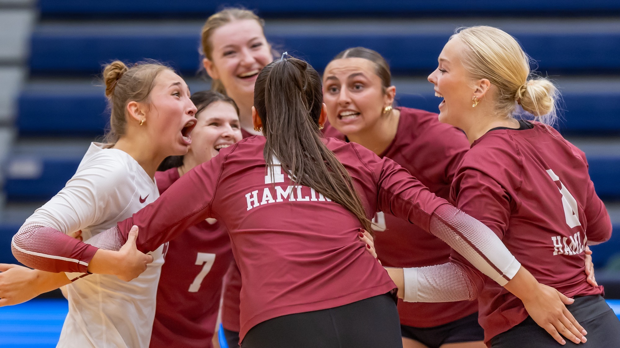 Hamline Volleyball celebrating a point against Macalester